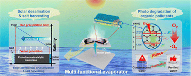 Graphical abstract: All-in-one photothermal/catalytic flexible membrane for highly efficient desalination and organic pollutant degradation
