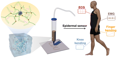 Graphical abstract: 3D-printable liquid metal-based hydrogel for use as a multifunctional epidermal sensor