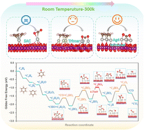 Graphical abstract: First-principles methods for unraveling the structure–catalytic activity relationship and mechanism of δ-MnO2-supported metal cluster catalysts in ambient temperature benzene to CO2 degradation