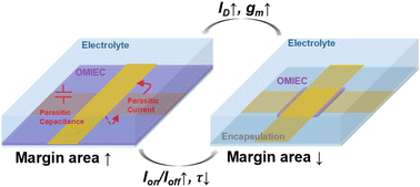 Graphical abstract: Effect of channel patterning precision on the performances of vertical OECTs