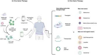 Graphical abstract: In vivo vectorization and delivery systems for gene therapies and RNA-based therapeutics in oncology