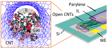 Graphical abstract: Mechanisms and effects of gas intercalation into ionic liquids confined within charged nanoscale volumes