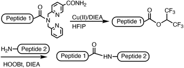 Graphical abstract: The dipicolylamino group as an efficient leaving group for amide bond formation via hexafluoroisopropyl ester