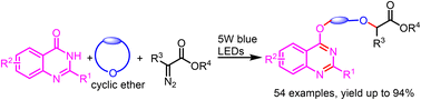 Graphical abstract: Visible-light-induced three-component reactions of α-diazoesters, quinazolinones and cyclic ethers toward quinazoline-based hybrids
