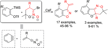 Graphical abstract: 3-Halo-5,6-dihydro-4H-1,2-oxazine N-oxides as synthetic equivalents of unsaturated nitrile oxides in the [3 + 2]-cycloaddition with arynes: synthesis of substituted 3-vinyl-1,2-benzisoxazoles