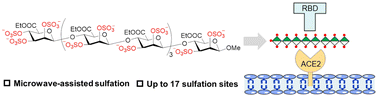 Graphical abstract: Microwave-assisted synthesis of highly sulfated mannuronate glycans as potential inhibitors against SARS-CoV-2