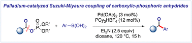 Graphical abstract: Palladium-catalyzed Suzuki–Miyaura cross-coupling of carboxylic–phosphoric anhydrides via C–O bond cleavage