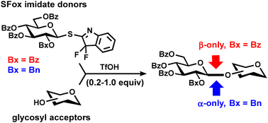 Graphical abstract: SFox imidates as versatile glycosyl donors for chemical glycosylation