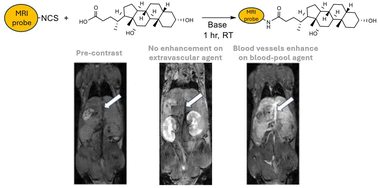 Graphical abstract: Efficient one-step amide formation using amino porphyrins