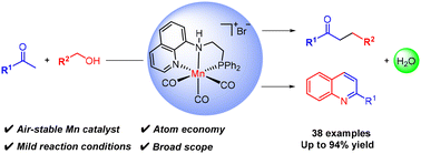 Graphical abstract: Quinoline-derived NNP-manganese complex catalyzed α-alkylation of ketones with primary alcohols