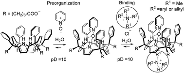 Graphical abstract: Enhanced binding of methyl alkylammonium cations through preorganization of a water-soluble calix[4]pyrrole