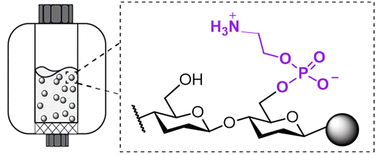 Graphical abstract: On resin synthesis of phosphoethanolamine cellulose