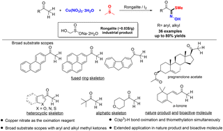Graphical abstract: Rongalite/iodine-mediated C(sp3)–H bond oximation and thiomethylation reaction of methyl ketones using copper nitrate as the [NO] reagent: synthesis of thiohydroximic acids