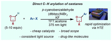 Graphical abstract: High-throughput optimization of the C–H arylation of oxetanes via Ni/aldehyde photocatalysis