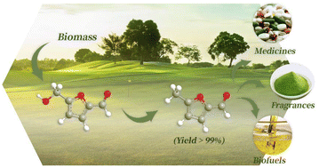 Graphical abstract: Reductive deoxygenation of alcohols by PMHS assisted by iodide