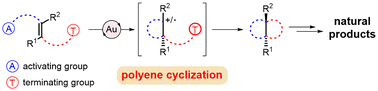 Graphical abstract: Gold-catalyzed polyene cyclization and its application in the total synthesis of natural products