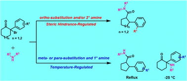 Graphical abstract: Temperature and steric hindrance-regulated selective synthesis of ketamine derivatives and 2-aryl-cycloketone-1-carboxamides via nucleophilic substitution and Favorskii rearrangement