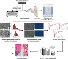 Graphical abstract: Heparin sodium enriched gelatin/polycaprolactone based multi-layer nanofibrous scaffold for accelerated wound healing in diabetes