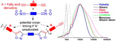 Graphical abstract: The synthesis of polyisoxazoles incorporating fatty acids