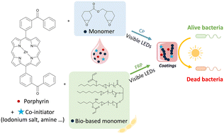 Graphical abstract: Porphyrin-based photosensitizers for visible-light polymerization and antibacterial applications