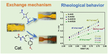Graphical abstract: Photocurable acylhydrazone covalent adaptable networks with fast dynamic exchange and tunable viscoelastic properties