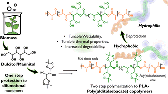 Graphical abstract: Poly(alditol sebacate)-PLA copolymers: enhanced degradability and tunable surface properties