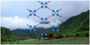 Graphical abstract: Construction of fully π-conjugated, diyne-linked conjugated microporous polymers based on tetraphenylethene and dibenzo[g,p]chrysene units for energy storage