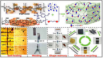 Graphical abstract: Robust, malleable, degradable, self-healable, weldable and recyclable polyimine thermosets from natural peach gum and chitosan