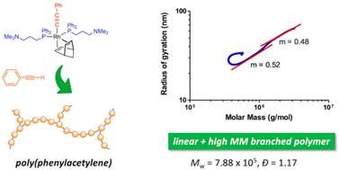 Graphical abstract: Stereoregular polymerization of phenylacetylene using alkynyl and methyl rhodium(i) complexes with functionalized phosphine ligands: linear vs. branched poly(phenylacetylene)s