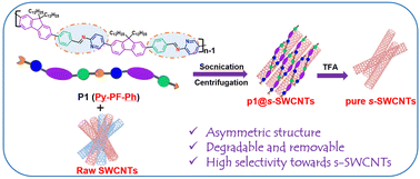 Graphical abstract: Synthesis of asymmetric imine polymers for highly selective sorting of semiconducting single-walled carbon nanotubes by a two-in-one strategy