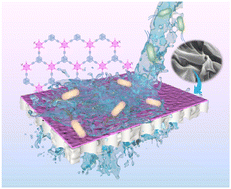 Graphical abstract: Preparation and antibacterial performance of a conjugated microporous polymer nanosheet-based membrane