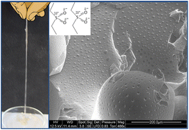 Graphical abstract: Syntheses and supramolecular associations of block and grafted phosphonated- and sulfoned-silicone copolymers