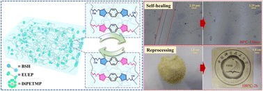 Graphical abstract: Self-healable, reprocessable and anti-flammable eugenol-derived covalent adaptable thermosets based on dynamic covalent boronic esters and thiol–ene click chemistry