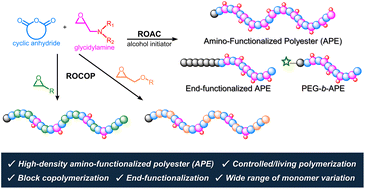 Graphical abstract: Synthesis of amino-functionalized polyester via ring-opening alternating copolymerization of glycidylamines with cyclic anhydrides
