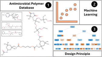 Graphical abstract: Advancing antimicrobial polymer development: a novel database and accelerated design via machine learning