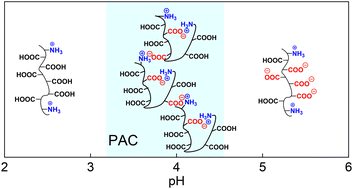Graphical abstract: Controlled synthesis and pH-sensitive complexation of poly(methacrylic acid) polyampholytes