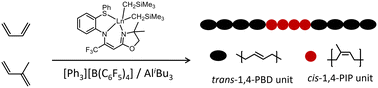 Graphical abstract: Polymerization of isoprene and butadiene with unparalleled stereoselectivity catalysed by rare-earth metal cationic species bearing a novel tridentate ligand