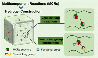 Graphical abstract: Hydrogels constructed by multicomponent reactions