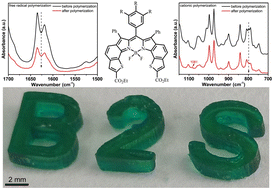 Graphical abstract: Bisbenzothieno[b]-fused BODIPYs in panchromatic photoinitiation for free radical and cationic photopolymerization and application in 3D printing