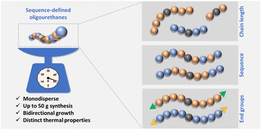 Graphical abstract: Scalable design of uniform oligourethanes for impact study of chain length, sequence and end groups on thermal properties