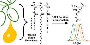 Graphical abstract: Synthesis and RAFT polymerisation of hydrophobic acrylamide monomers derived from plant oils