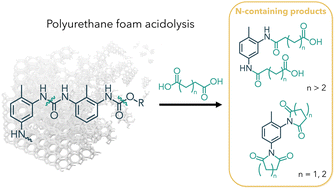 Graphical abstract: Polyurethane foam acidolysis with carboxylic acids: acid structure dictates N-containing product distribution and kinetics
