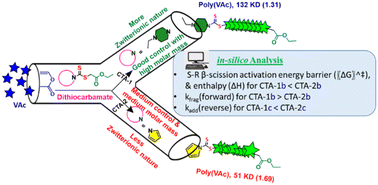 Graphical abstract: Unveiling the zwitterionic nature of an ethyl piperazine-based dithiocarbamate chain transfer agent for achieving high molar mass polyvinyl acetate: experimental and computational insights