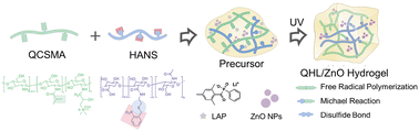 Graphical abstract: A photocrosslinked hybrid hydrogel based on chitosan/hyaluronic acid/ZnO toward wound sealing