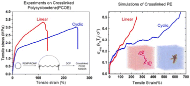 Graphical abstract: Transformation of semicrystalline polymer mechanics by cyclic polymers