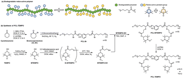 Graphical abstract: Development of redox-active polycaprolactone and its electrochemical redox behavior in aqueous media