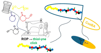 Graphical abstract: Tailoring polyester-based diblock copolymers for boron-enhanced drug delivery: synthesis, kinetics, and nanoparticle characterization