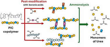 Graphical abstract: Chemical modification of poly(isosorbide carbonate)-based copolymers with boronic acids and the ammonolysis of the modified copolymers