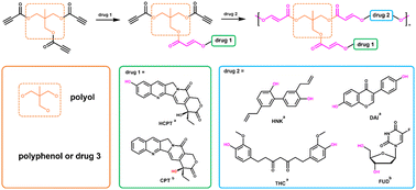 Graphical abstract: A click-reaction for precise combination drug delivery: a general pH-responsive degradable backboned polyprodrug strategy