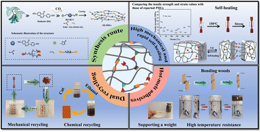Graphical abstract: High strength and rapid self-healing daidzein-based polyhydroxyurethanes for high temperature-resistant adhesives